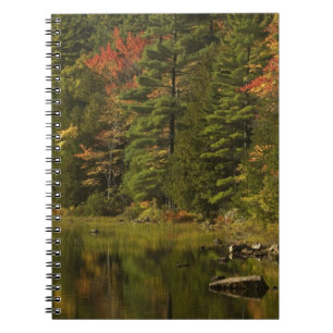 Cuaderno EE. UU.; Maine; PN de Acadia. Reflejos de otoño a