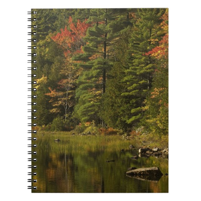 Cuaderno EE. UU.; Maine; PN de Acadia. Reflejos de otoño a  (Frente)