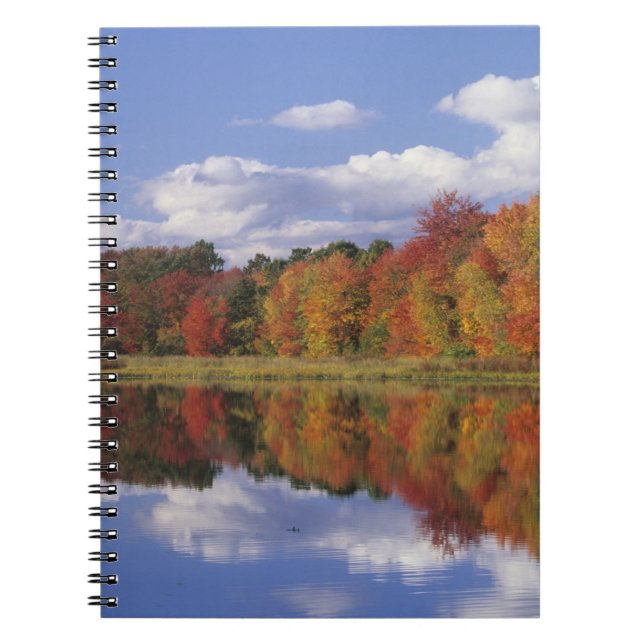 Cuaderno EE. UU., Massachusetts, Acton. Reflejo de otoño (Frente)