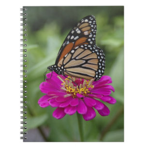 Cuaderno EE. UU., Massachusetts, Boylston, Tower Hill