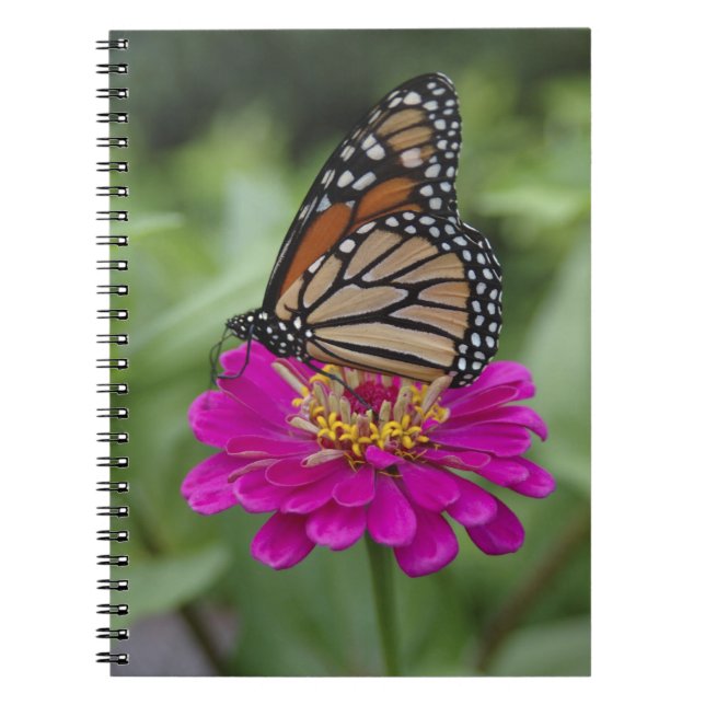 Cuaderno EE. UU., Massachusetts, Boylston, Tower Hill (Frente)