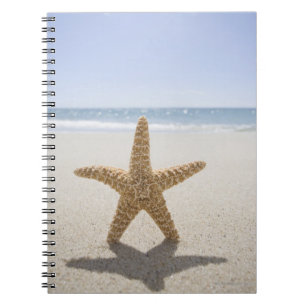 Cuaderno EE.UU., Massachusetts, Cape Cod, Nantucket, cerca