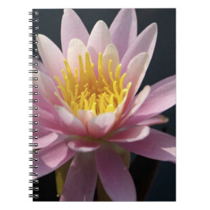 Cuaderno EE. UU., Massachusetts, Great Barrington, hoja de 