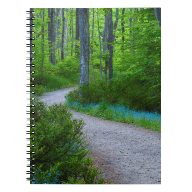 Cuaderno EE. UU., Michigan. Camino a través de los bosques (Frente)