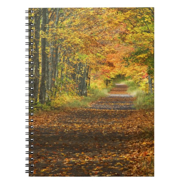 Cuaderno EE. UU., Michigan, Península Superior. Carretera h (Frente)