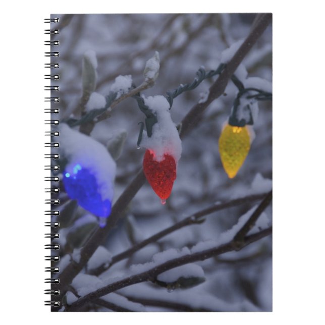 Cuaderno EE. UU., Nueva Inglaterra, Massachusetts, Reading, (Frente)