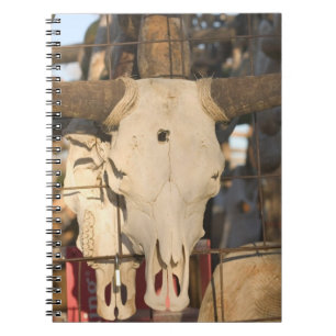 Cuaderno EE. UU., Nuevo México, Mesilla: Plaza histórica de