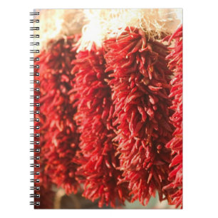 Cuaderno EE. UU., Nuevo México, Santa Fe: Centro de Santa F