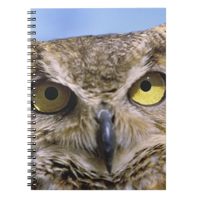 Cuaderno EE. UU., Oregón, Bend. Los búhos cornudos son comu (Frente)
