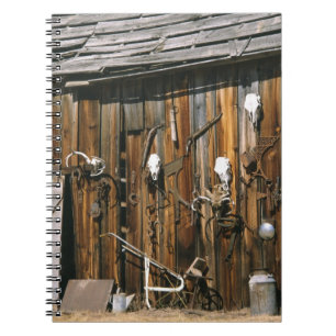 Cuaderno EE. UU., Oregón, condado de Harney. Antigua caball