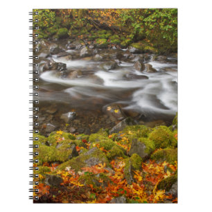 Cuaderno EE. UU., Oregón, desfiladero del río Columbia, Tan