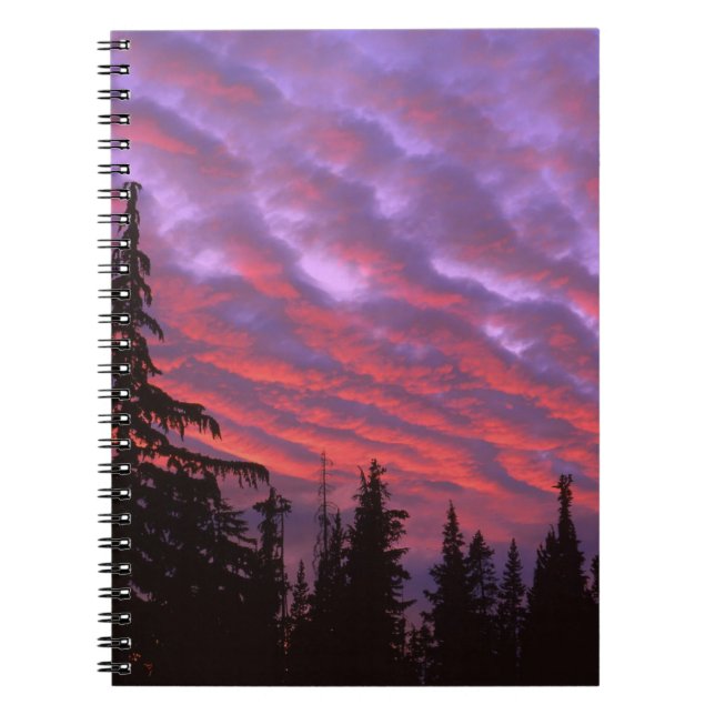 Cuaderno EE. UU., Oregón, Three Sisters Wilderness, Vívido (Frente)