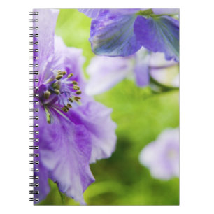 Cuaderno EE. UU., Oregón, Valle de Willamette, Larkspur Clo