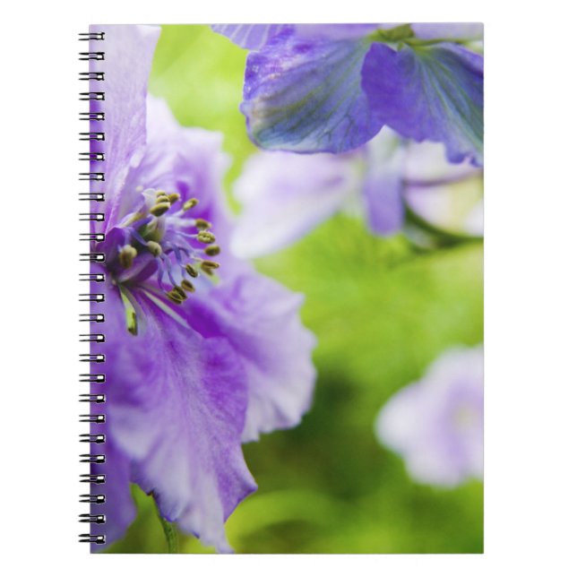 Cuaderno EE. UU., Oregón, Valle de Willamette, Larkspur Clo (Frente)