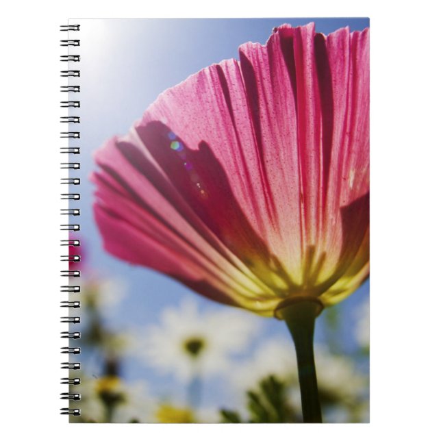 Cuaderno EE. UU., Oregón, Valle de Willamette, Primer plano (Frente)