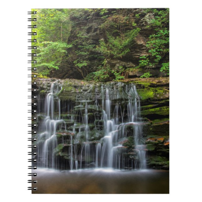 Cuaderno EE.UU., Pennsylvania, Benton. Cascada en los ricke (Frente)