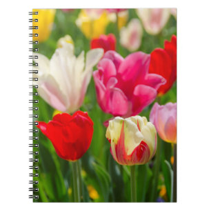 Cuaderno EE.UU., Tennessee, Nashville