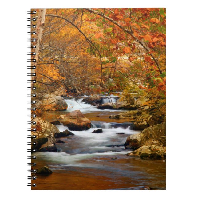 Cuaderno EE. UU., Tennessee. Rushing Mountain Creek (Frente)