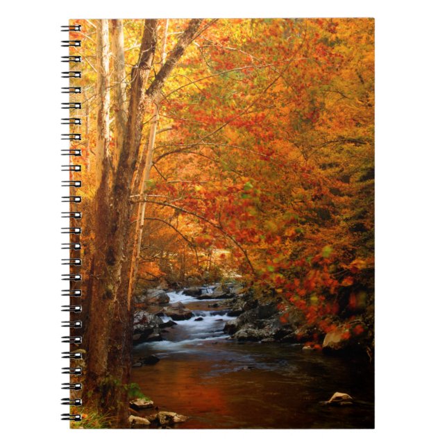 Cuaderno EE. UU., Tennessee. Rushing Mountain Creek 2 (Frente)