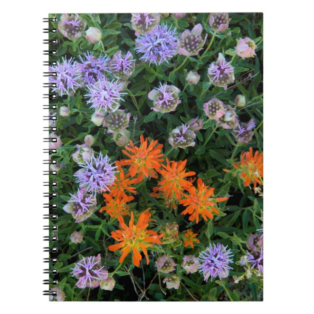 Cuaderno EE. UU., Utah, Bosque Nacional Uinta-Wasatch-Cache (Frente)