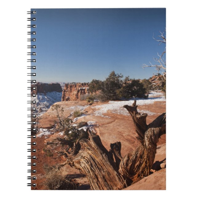 Cuaderno EE. UU., Utah, Moab. Parque Nacional Canyonlands, (Frente)
