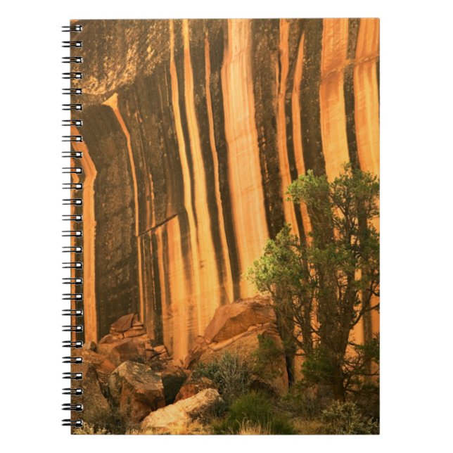 Cuaderno EE. UU., Utah, Parque Nacional Capitol Reef (Frente)