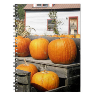 Cuaderno EE. UU., Vermont. Calabazas