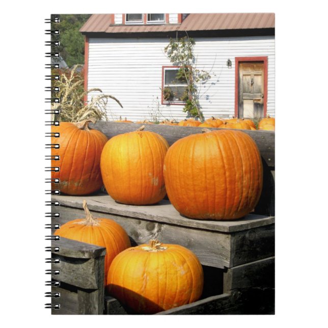 Cuaderno EE.UU., Vermont.Calabazas (Frente)