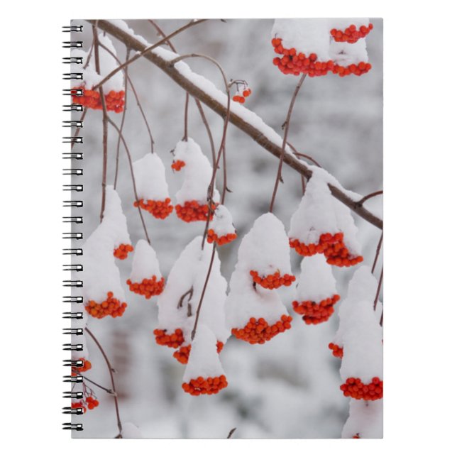 Cuaderno EE. UU., Washington, condado de Spokane (Frente)