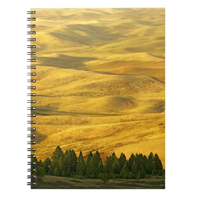 Cuaderno EE. UU., Washington, Condado de Whitman, Palouse,  (Frente)
