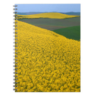 Cuaderno EE. UU., Washington, Condado de Whitman, Palouse, 