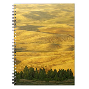 Cuaderno EE.UU., Washington, Condado de Whitman, Palouse, T
