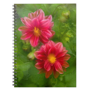 Cuaderno EE. UU., Washington, Isla Whidbey. Montaje de dali