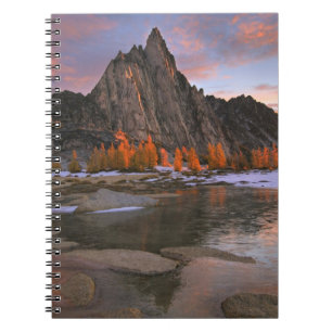 Cuaderno EE. UU., Washington, Montañas Cascade. Pico Prusi
