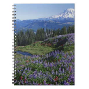Cuaderno EE. UU., Washington Mt. Adams Wilderness, praderas
