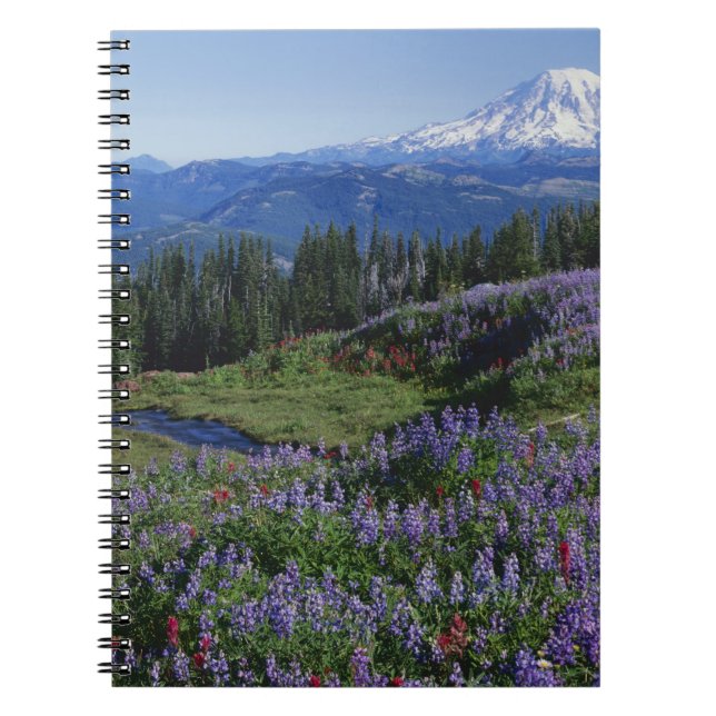 Cuaderno EE. UU., Washington Mt. Adams Wilderness, praderas (Frente)
