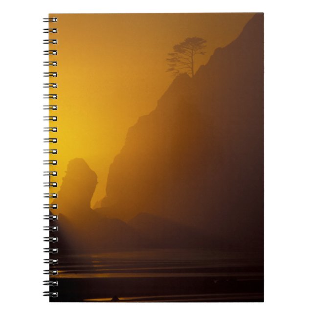 Cuaderno EE.UU., Washington, Olympic Nat'l Park, Sunset, 2 (Frente)