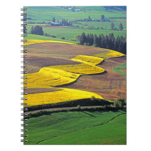 Cuaderno EE. UU., Washington, Palouse, Condado de Whitman 2