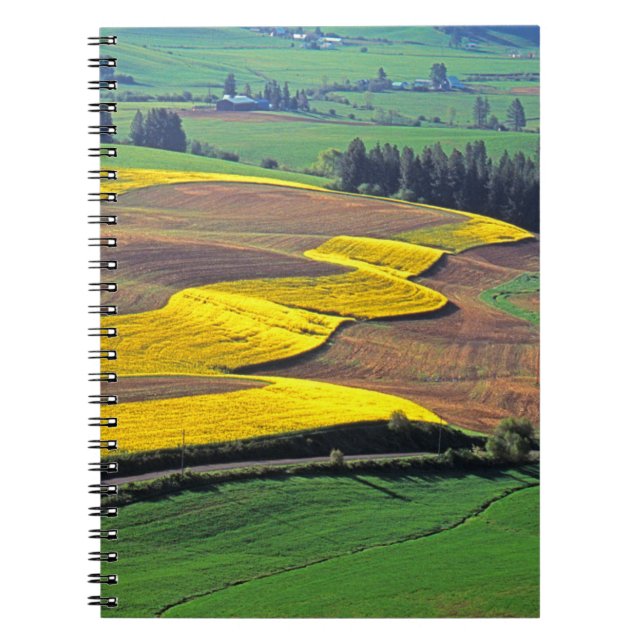 Cuaderno EE. UU., Washington, Palouse, Condado de Whitman 2 (Frente)