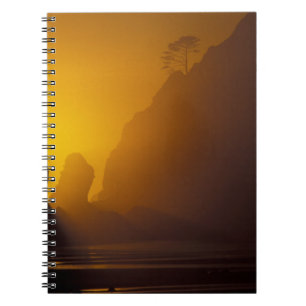 Cuaderno EE. UU., Washington, Parque Nacional Olímpico, Ata