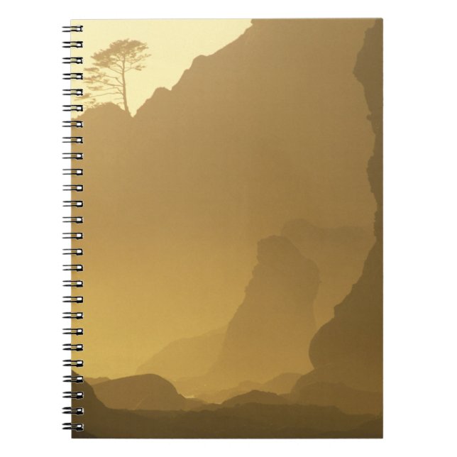 Cuaderno EE. UU., Washington, Parque Nacional Olímpico, Ata (Frente)