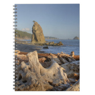 Cuaderno EE. UU., Washington, Parque Nacional Olímpico, Ria