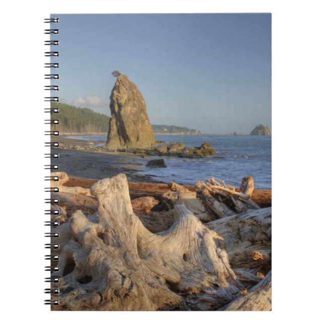 Cuaderno EE. UU., Washington, Parque Nacional Olímpico, Ria (Frente)
