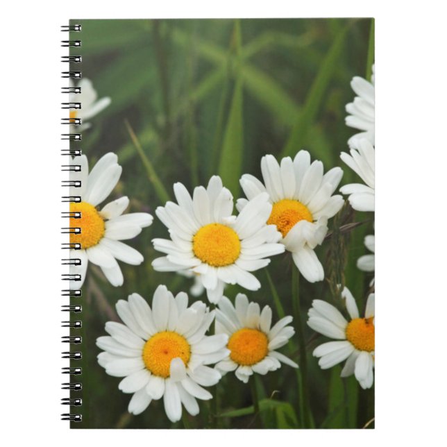 Cuaderno EE. UU., Washington, Seattle, Puget Sound 3 (Frente)