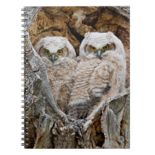 Cuaderno EE. UU., Wyoming, Parque Nacional Grand Teton