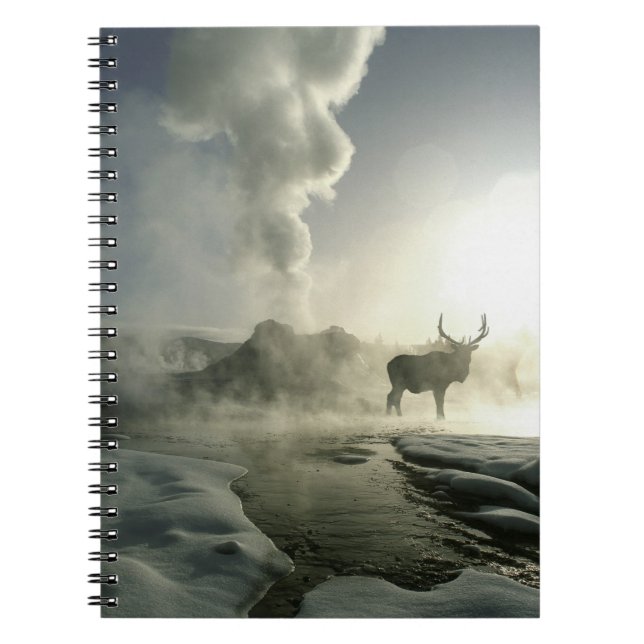 Cuaderno EE. UU., Wyoming, Parque Nacional Yellowstone. Ama (Frente)
