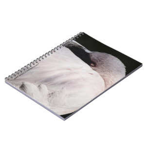 Cuaderno Efecto de dibujo de retrato de flamenco rosa Arte