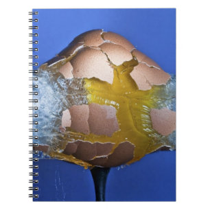 Cuaderno Eggceptional