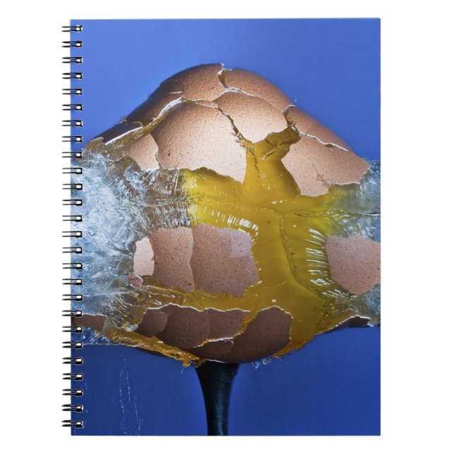 Cuaderno Eggceptional (Frente)
