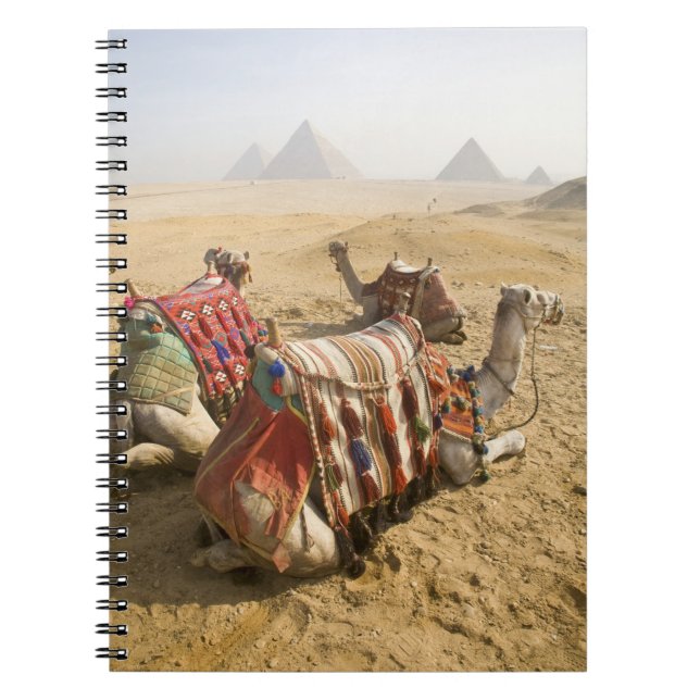 Cuaderno Egipto, El Cairo. Camellos descansando (Frente)